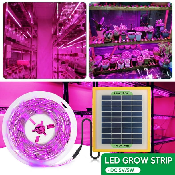 Tira de luces LED solares para cultivo de plantas, espectro completo, 5 V,  Phytolamp para flores (5 m) WDOplteas Para estrenar