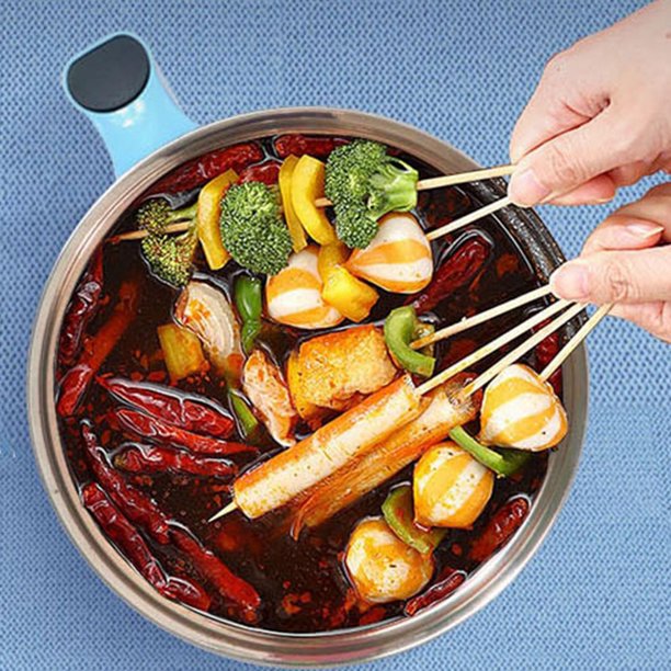  Olla caliente eléctrica, cocina de ramen, cocina eléctrica  multifuncional con vaporizador para cocinar fideos, huevo, pescado, carne,  olla caliente, sopa de gachas de arroz, revestimiento antiadherente y acero  inoxidable : Hogar