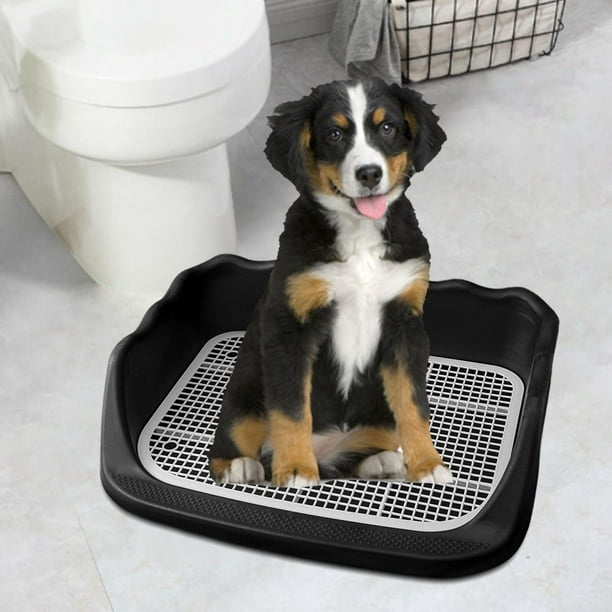 Inodoro para perros, herramienta de limpieza, caja de arena de esquina de  plástico, lavabo de entren Salvador Inodoro con bandeja de arena