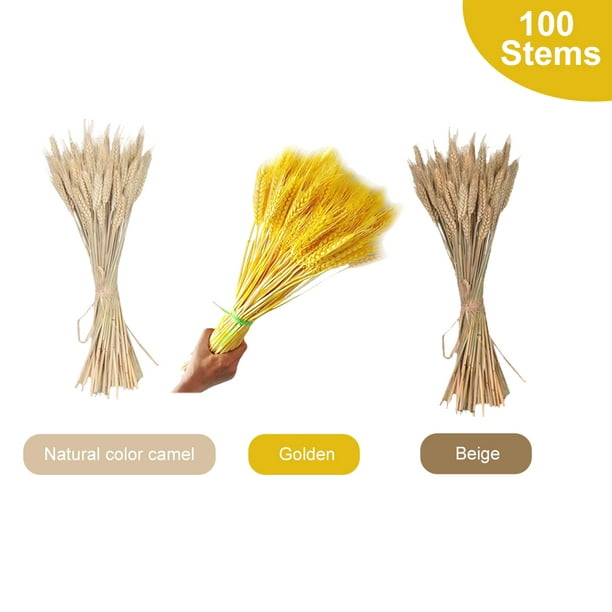 8 ideas de Decoración con espigas de trigo  espiga de trigo, decoración de  unas, flores secas