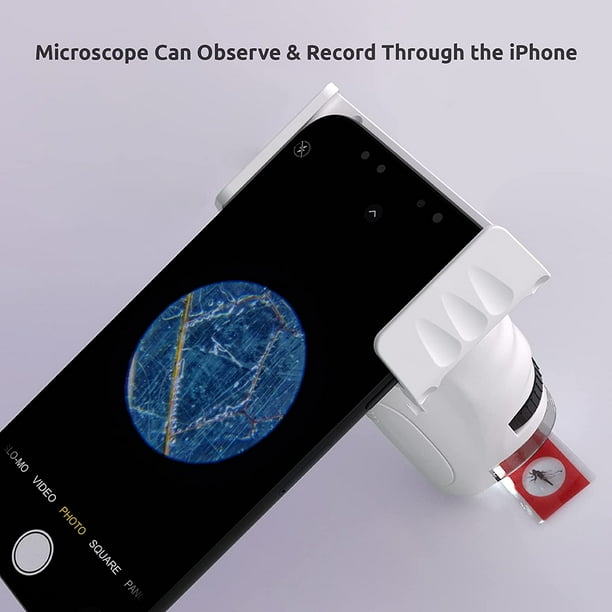 Microscopio Para Principiantes Para Niños, Kit Para Principiantes De  Microscopio, Microscopio HD Kits De Ciencia Para Microscopio Duradero Y  Fuerte Para Niños, Niñas, ANGGREK Otros