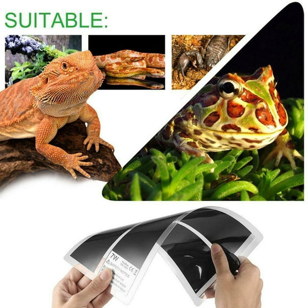 Manta eléctrica impermeable para reptiles, estera calefactora de