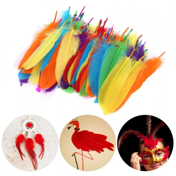 Plumas de colores para manualidades - Productos para manualidades de  carnaval - SeComoComprar