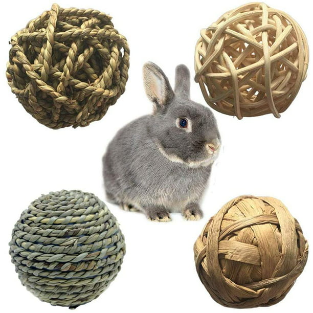 Qué juguetes son mejores para un conejo?