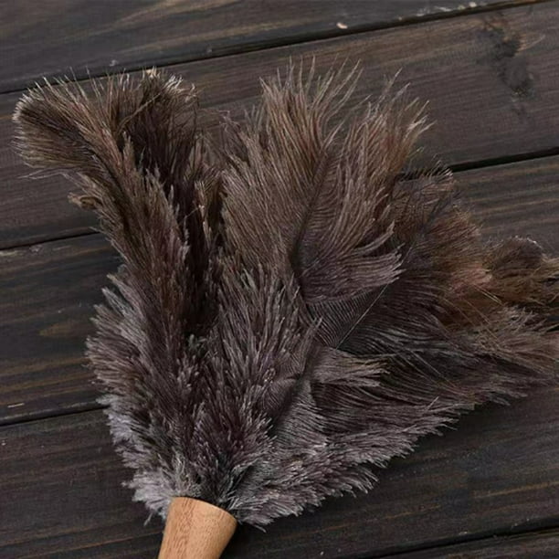  Plumero de avestruz genuino esponjoso natural con mango de  madera y suministros de limpieza de mano reutilizables ecológicos, gris y  marrón (longitud 16 pulgadas) : Salud y Hogar