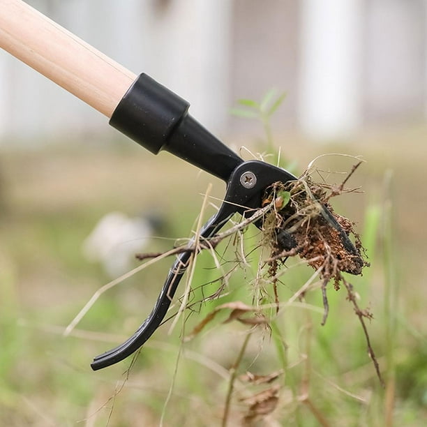 Extractor de malas hierbas con soporte, cabezales de repuesto, removedor de  raíces de césped Manual para jardín Likrtyny Libre de BPA