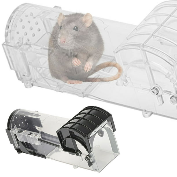 Primematik - Trampa Para Ratas Ratones Roedores Jaula De Plástico Pack De 2  Unidades 60 X 170 X 64 Mm Ar00200 con Ofertas en Carrefour