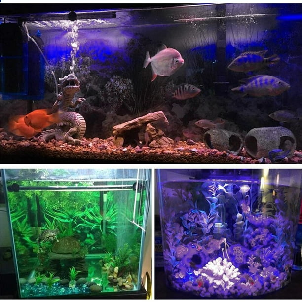 Luz LED de acuario para plantas, luz de tanque de peces LA KEN DU con  impresionantes efectos de cambio de 3 colores (10 niveles de brillo, 3  modos de