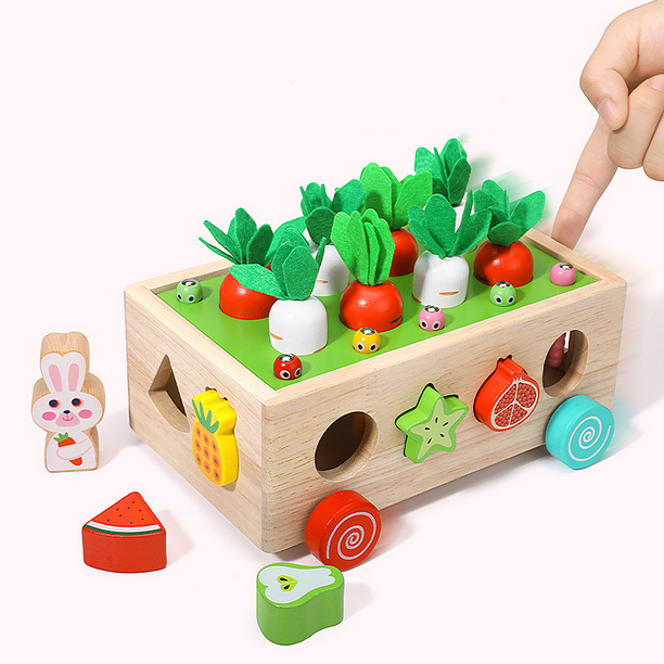 Juguetes de aprendizaje preescolar Montessori para niños pequeños, juguetes  educativos para niños de 2, 3 y 4 años, juguetes de madera Montessori