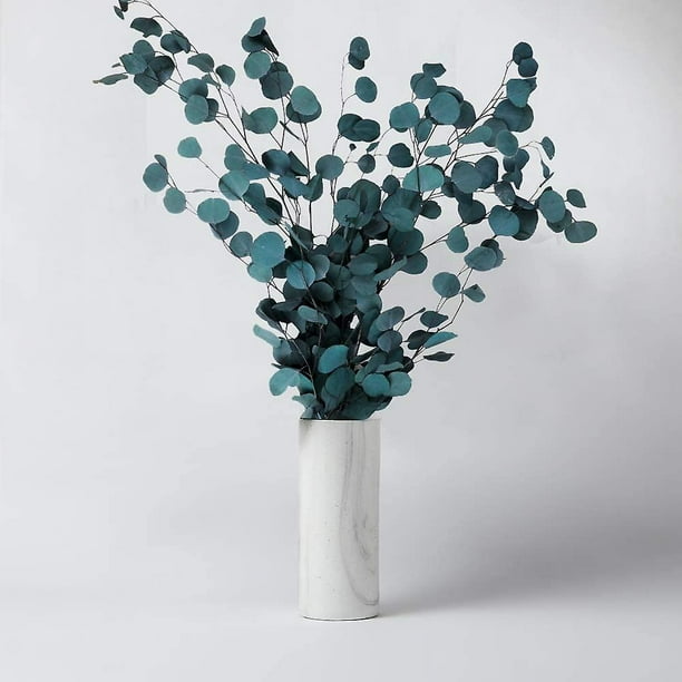 Flor seca hecha a mano natural con eucalipto de algodón para decoración del  hogar - China Flor seca y Flor seca precio