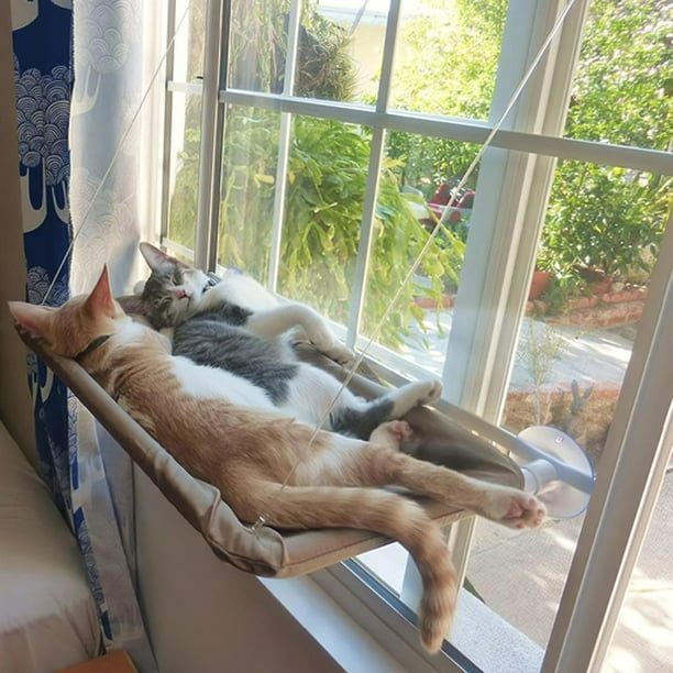 La hamaca para gatos se adhiere a la ventana, con superficie de peluche