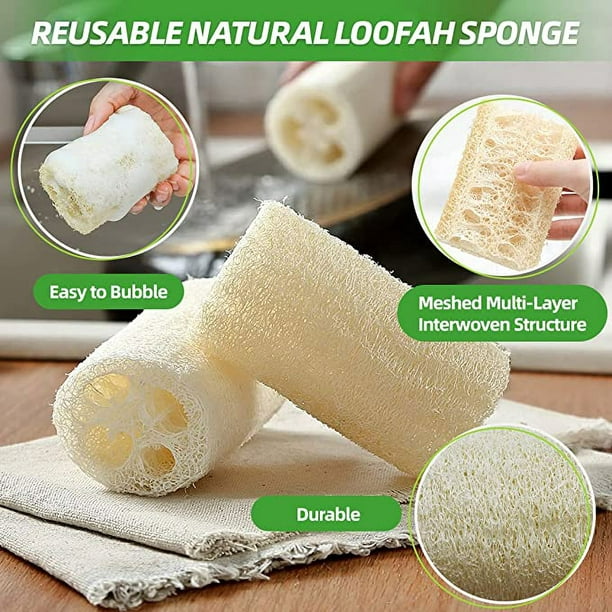 RV Esponja de lufa 6 piezas (7,5 cm de largo y 4-6 cm de diámetro), esponja  natural para lavar platos, esponja de lufa para fregar, esponja para  limpieza de bañera, lavado de