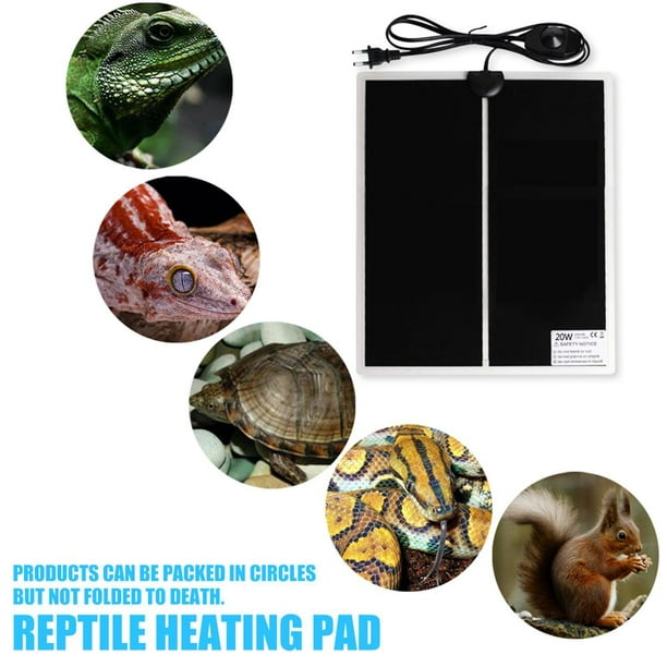 Almohadilla térmica impermeable para reptiles de 20 W, manta eléctrica para  escalada de mascotas (UE Likrtyny Deportes al aire libre Salida diaria  Juego de fiesta
