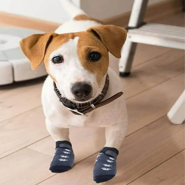 Calcetines Antideslizantes para Perros con Protectores de Patas
