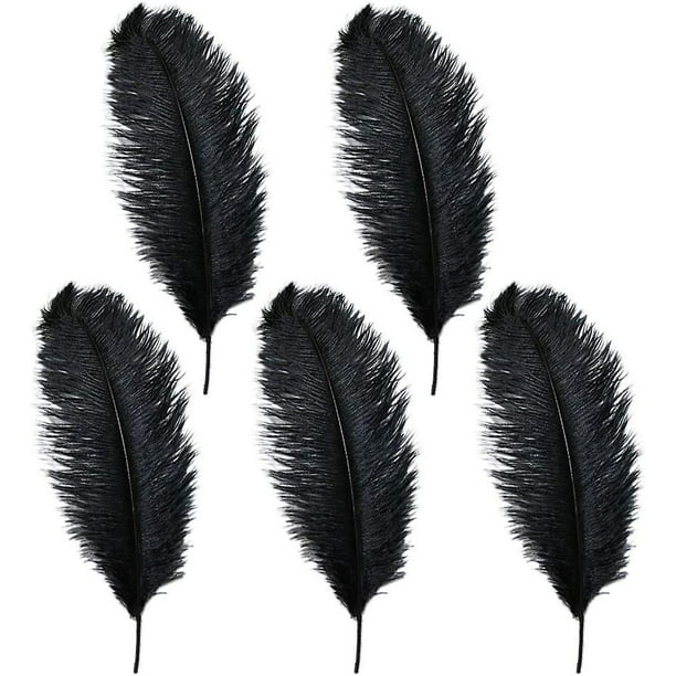 50 plumas negras con 10 ~ 12 pulgadas de largo, hermosas plumas