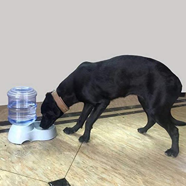  Estación dispensadora de agua para mascotas – 1 galón