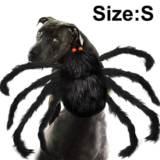 Disfraz de mascota araña mascota Cosplay perro gato disfraces para perros medianos pequeños gatos traje accesorios de vestir Ormromra 2034971-1 | Walmart en