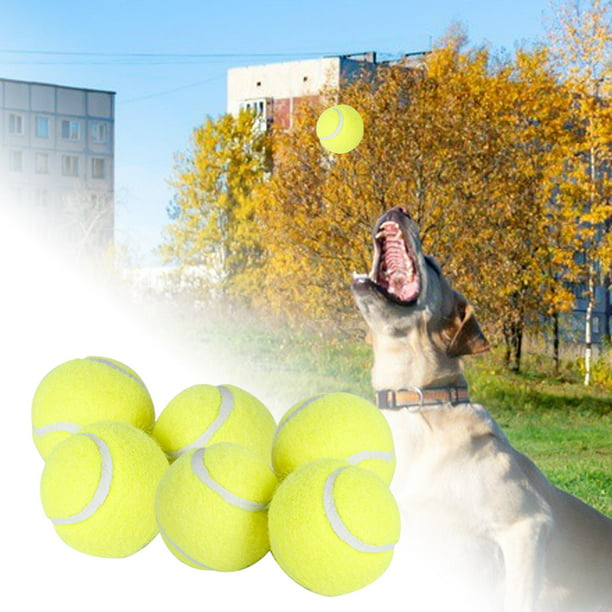6 piezas de pelotas de para perros, juego de búsqueda, juguetes para , juguetes  interactivos para pe Zulema Pelotas de tenis