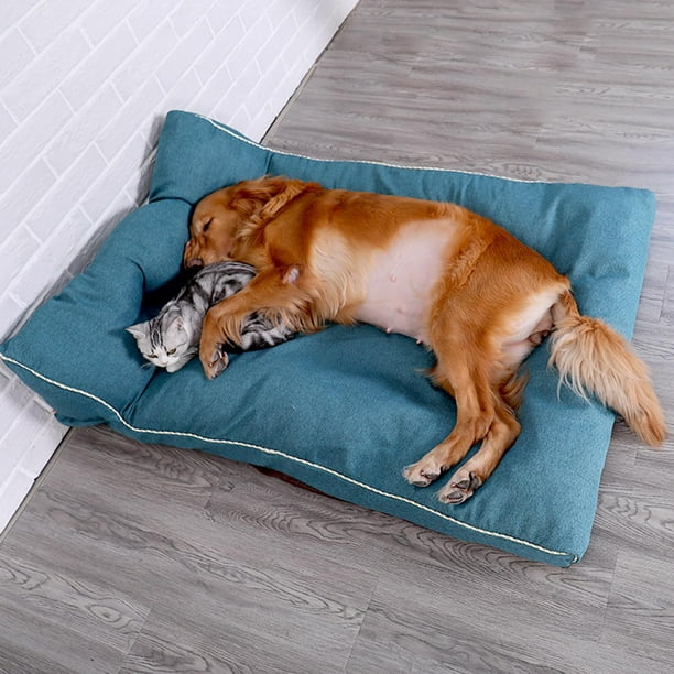 Inodoro Noble Amperio Estera de cama para perros, almohadilla para dormir, manta para mascotas,  cachorro de invierno suave Yinane Cama para gatos | Walmart en línea