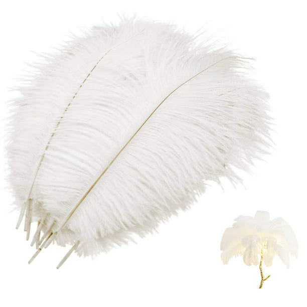 10 piezas de plumas naturales de avestruz de 5.9-7.9 in, 5.9-7.9 in, plumas  de avestruz naturales para decoración de mesa, fiesta en casa, boda