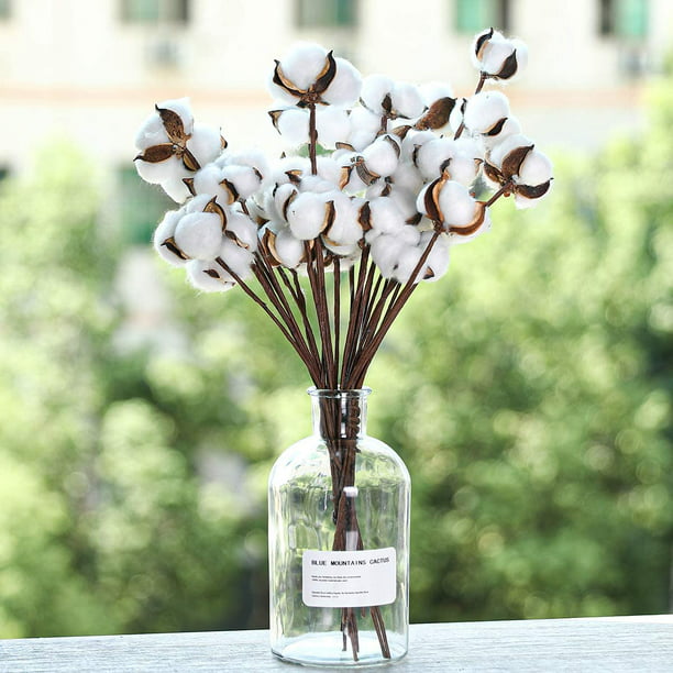 Floralsecret - 30 piezas de relleno de corona de flores secas decorativas  con tallo de algodón, 13.0 in, cápsulas de algodón natural (rosa) Zhivalor  LRWJ095-3