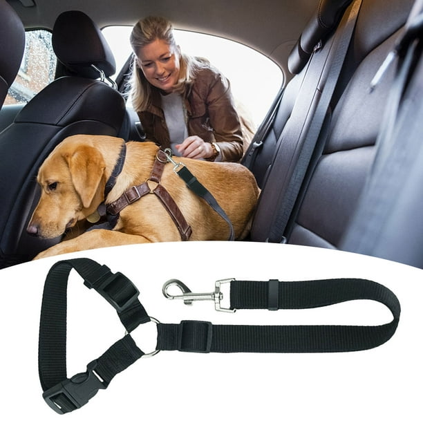 Cinturón de seguridad para perro para automóvil, cinturón de seguridad de  automóvil de cuero genuino para automóvil, ajustable, resistente, duradero