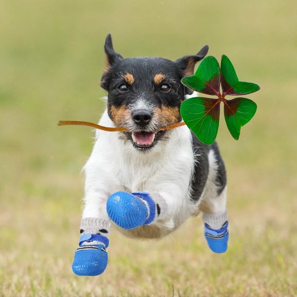 Calcetines para perros, Calcetines antideslizantes para perros, Calcetines  de protección para perros MFZFUKR