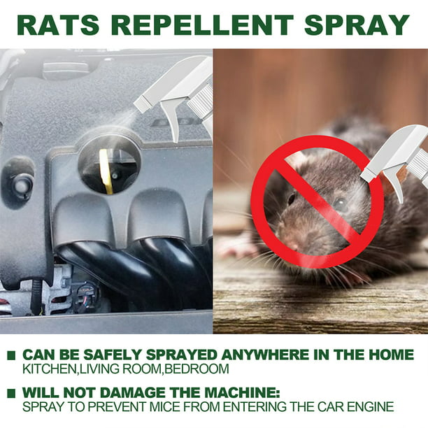 Spray ahuyentador Repelente de Ratas y Ratones para Coche Anti mordeduras  de roedores para la protección de Cables eléctricos Cuadro eléctricos  automoviles aislantes Aerosol 1X500ml Scare Rat: : Jardín