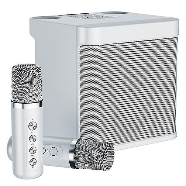 Ys-203 Portable K Song Bluetooth Soundbox Altavoz Micrófono inalámbrico  Conjunto Fiesta familiar al LingWen
