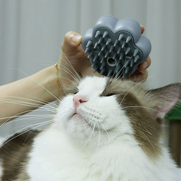 Cepillo de vapor para gatos 3 en 1, cepillo de vapor autolimpiante para  gatos, masaje de cepillo de vapor para gatos