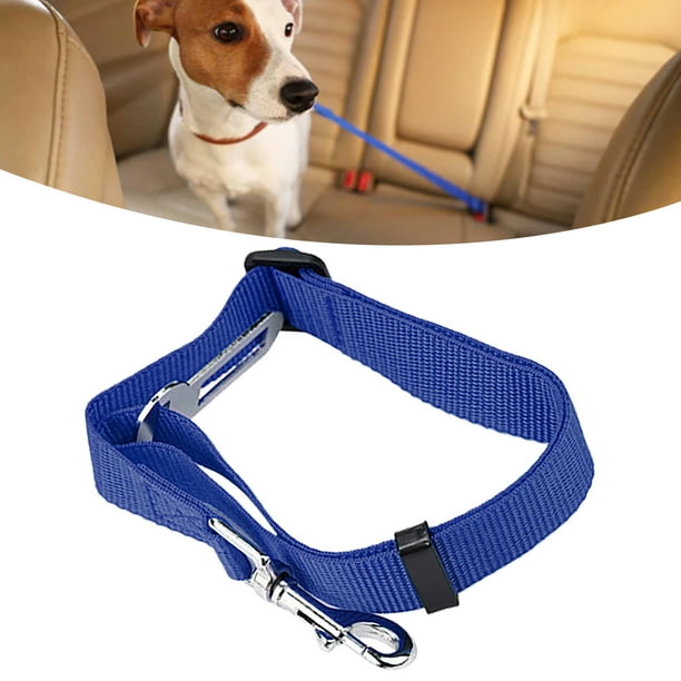 Olodeer Cinturón de seguridad ajustable para perro, cinturón de seguridad  retráctil elástico para perro, accesorios de viaje en coche para perros con