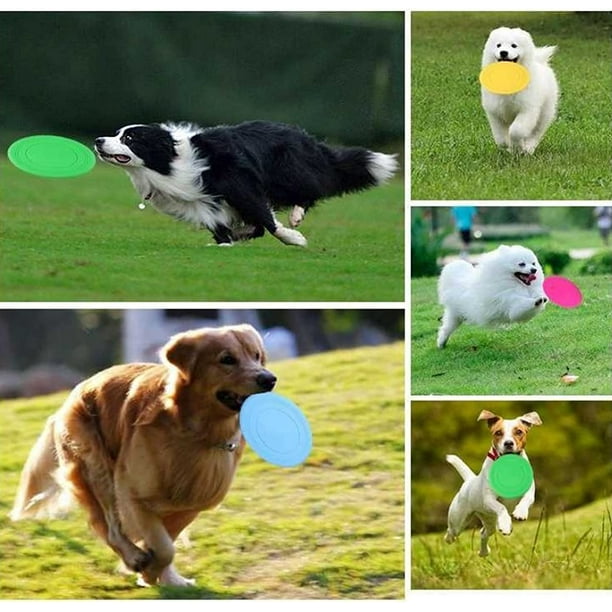 Juguete frisbee para perros seguro para los dientes, disco volador flotante  al aire libre para perros de razas pequeñas, medianas y grandes, juguete