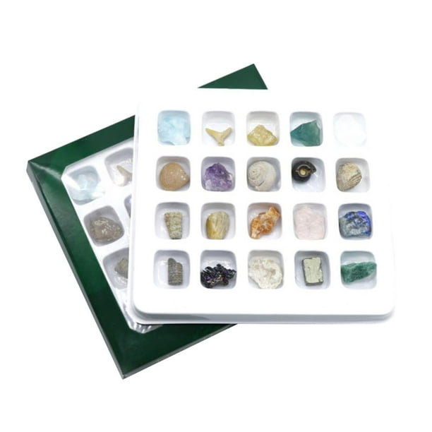 Matsuzay 20 tipos de minerales de piedra de ágata Natural de tamaño Mini,  fósiles para niños, cristalino en forma aleatoria para regalos de  Decoración del hogar