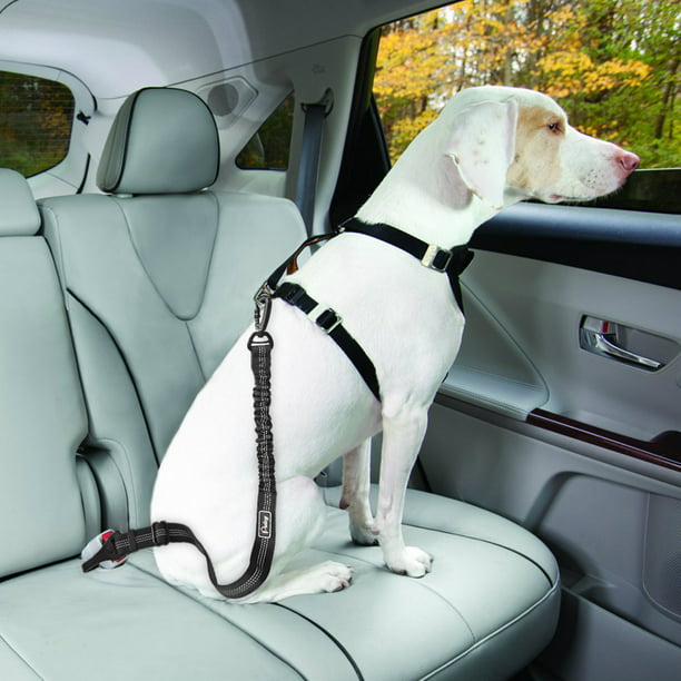 Cinturón de seguridad para coche para perros, correa ajustable para  vehículo, Collar, accesorios par Likrtyny