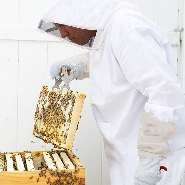 Traje de apicultura de apicultura con guantes de piel de oveja y capucha de  velo de esgrima ventilada, traje de apicultor profesional, protección