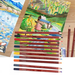 Lápices De Colores Lápices De Dibujo 72 Piezas Lápices De Colores Artista  Profesional Para Adultos ANGGREK Arte y Manualidades