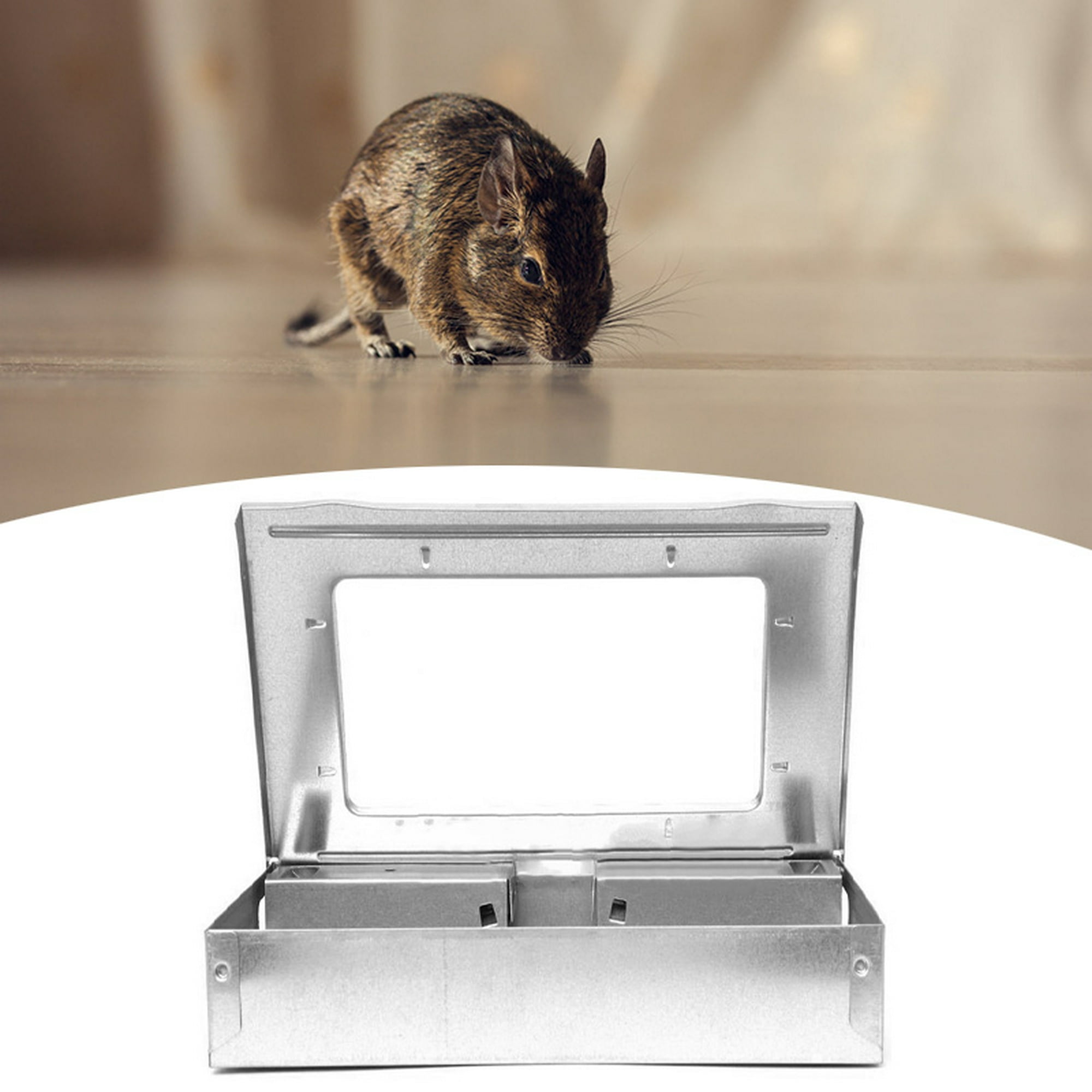 Phosooy - Trampa para ratones humana pequeña, 6.7 x 2.6 x 2.5 pulgadas,  transparente, trampa para ratones en vivo, efectiva, trampa para ratones  sin liberación de muerte, caja de trampa para ratones