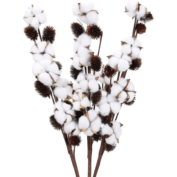 30 Uds. De tallos de algodón, flores secas decorativas, relleno de corona,  púas de algodón Natural Ofspeizc LRWJ095-3