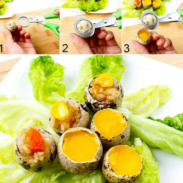 Tijeras de huevo de codorniz de acero inoxidable, paquete de 2 abridores de  huevos de palomaverde + amarillo Qi Cheng