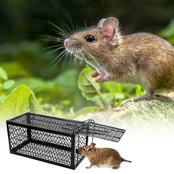 Trampa para ratas inteligente autoblocante reutilizable Trampa para ratas  para mascotas de alta resi ER