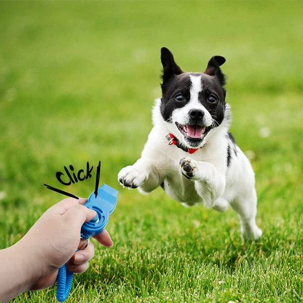 Clicker Con Silbato Para Entrenamiento De Mascotas