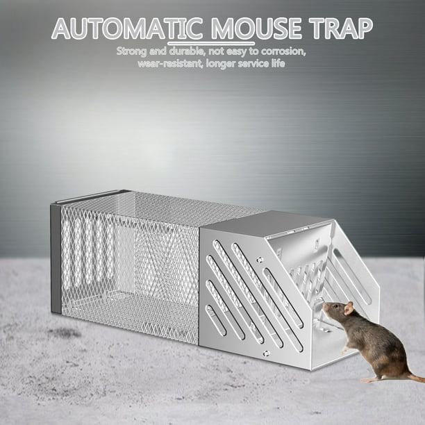 Trampas para ratones sin matarlos - Tiendanimal