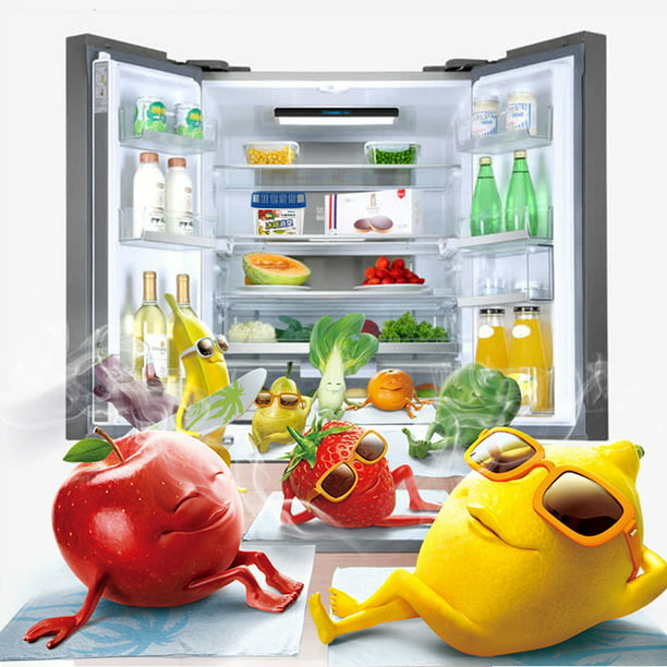  CareHome - Desodorizador para refrigerador, Paquete de 5  absorbentes de olores, Eliminador de olores para refrigerador y congelador