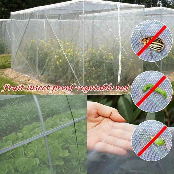 5 uds jardín Anti insectos pájaro malla invernadero frutas cubierta (2,5x6 m) Likrtyny Oficina Multiescena | Walmart en línea