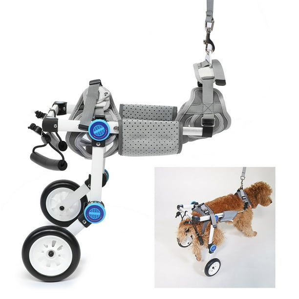 8 ideas de Carro perro discapacitado  silla de ruedas para perro, perros,  silla de ruedas