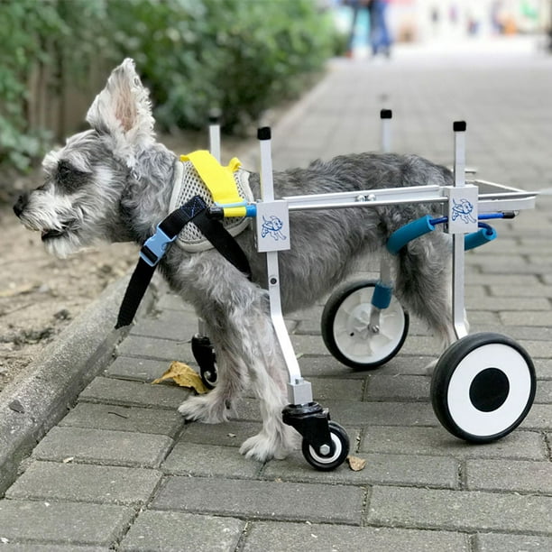 Coche para perros discapacitados silla de ruedas de aleación de aluminio carrito  para mascotas silla de ruedas para perros discapacitados ANGGREK Otros