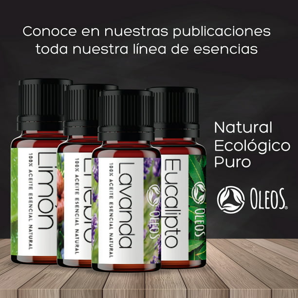 Aceite Esencial de Eucalipto Clásico – Bienat Aromaterapia México