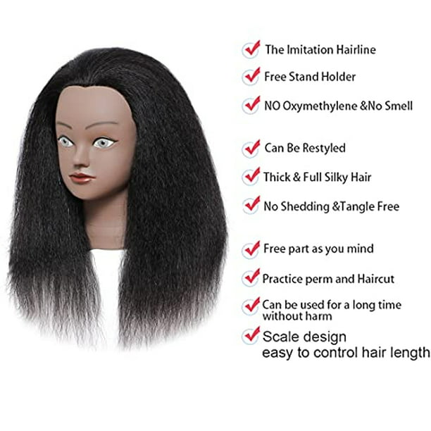 SILKY Cabeza de maniquí de cabello 100% real con soporte, cabeza de  entrenamiento de práctica de peluquería y cabeza de muñeca cosmotología  para