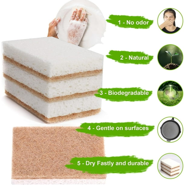 Biocure Esponja con Jabón 20 Unidades, Productos