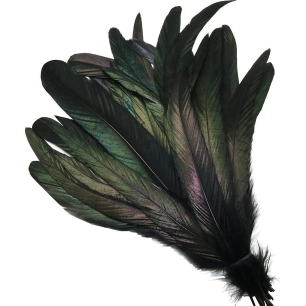  50 plumas naturales de cola de gallo de 25 a 17.7 in, plumón,  decoración de ropa de escenario, rendimiento de cola de pollo, plumas negras  de 35 a 15.7 in : Arte y Manualidades